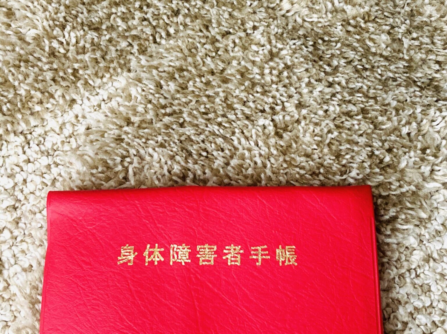 障害者手帳