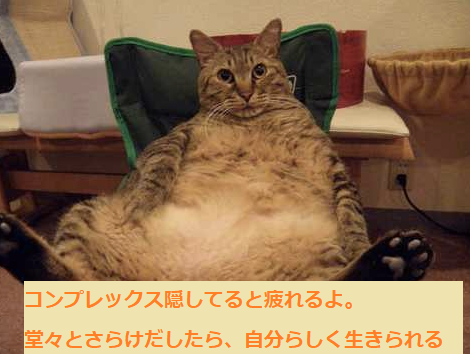 椅子にもたれる大きな猫