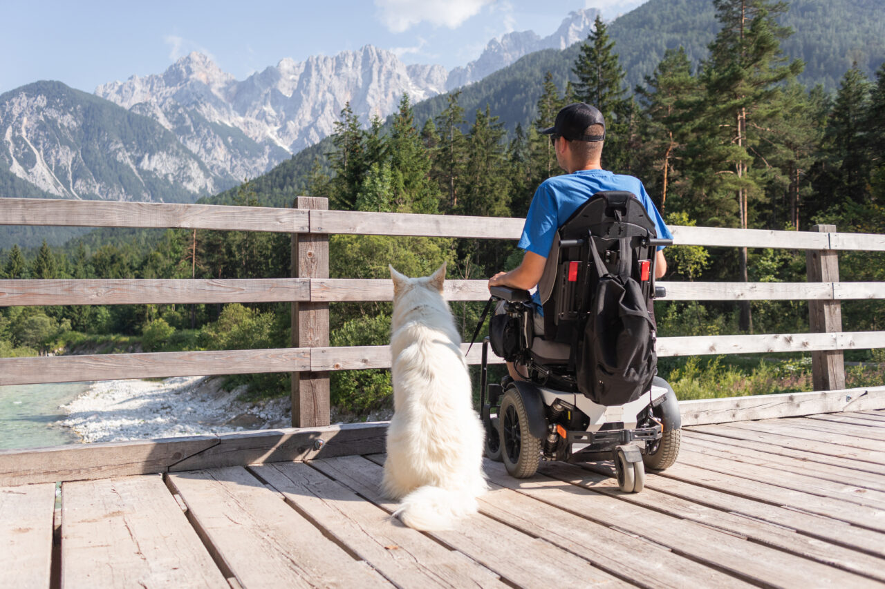 橋の上で風景を眺める車椅子の男性と犬