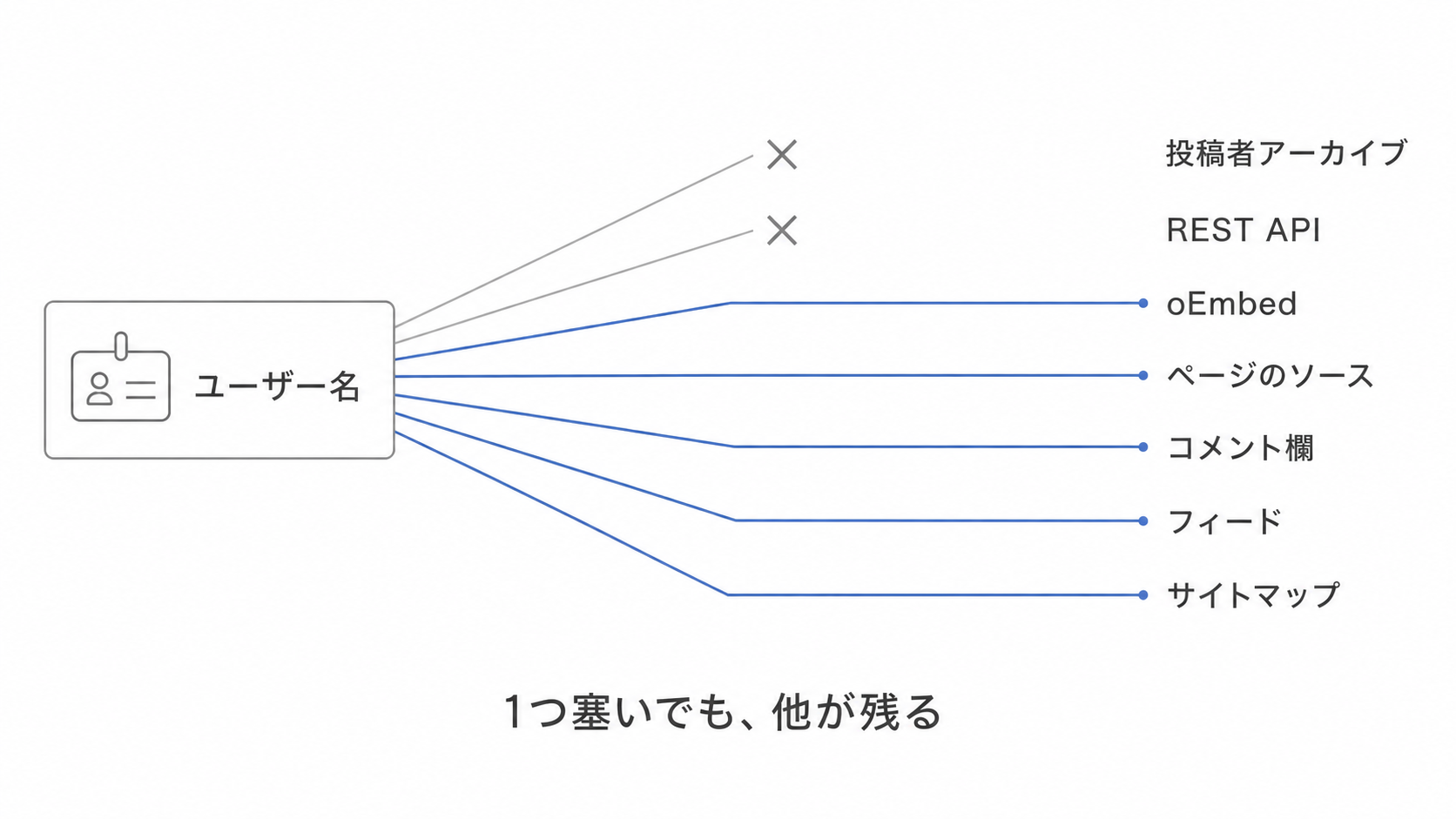 WordPressのユーザー名が外部に漏れる経路が複数あることを示した図