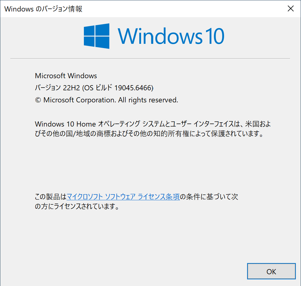 Windows のバージョン情報。バージョン 22H2（OS ビルド 19045.6466）